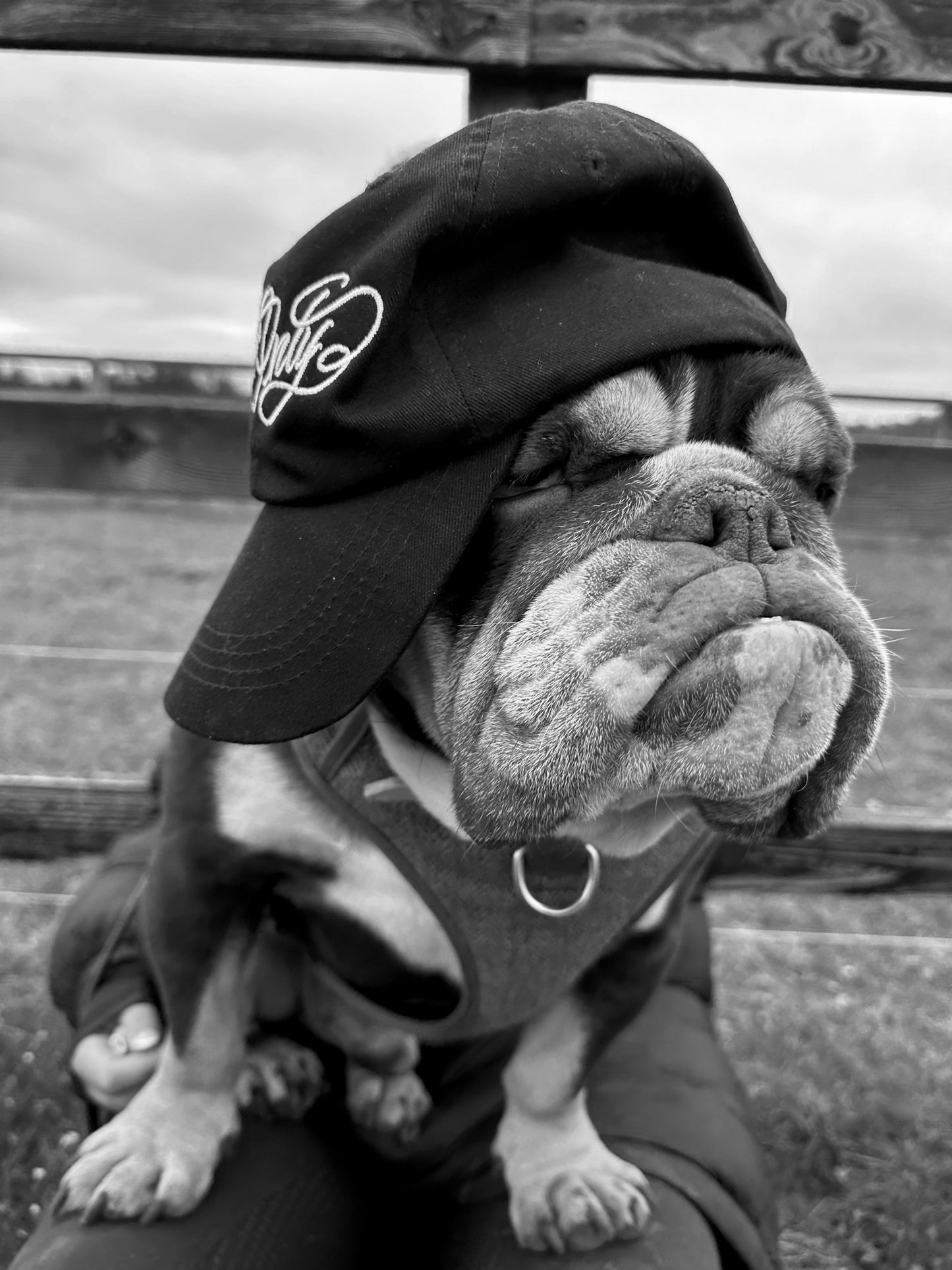 Cash Only Cap